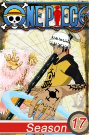 One Piece: Saison 17