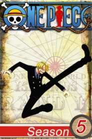 One Piece: Saison 5