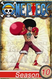 One Piece: Saison 10
