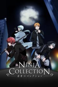 Ninja Collection: Saison 1